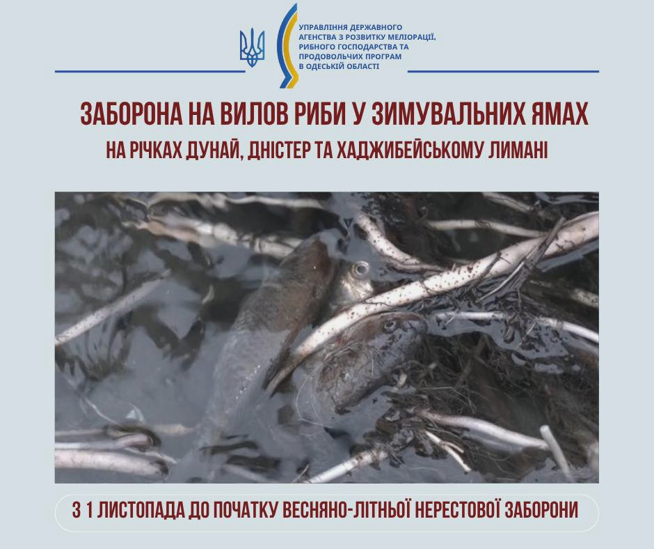 7532 image for slide