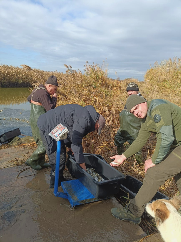 7797 image for slide