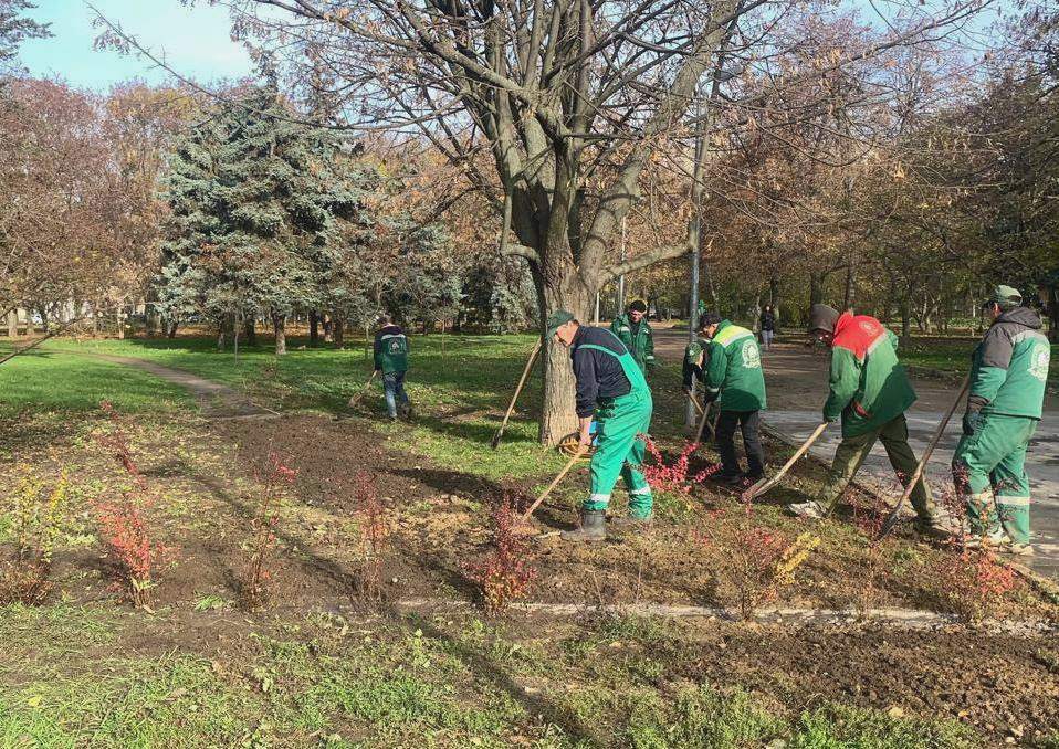 7866 image for slide