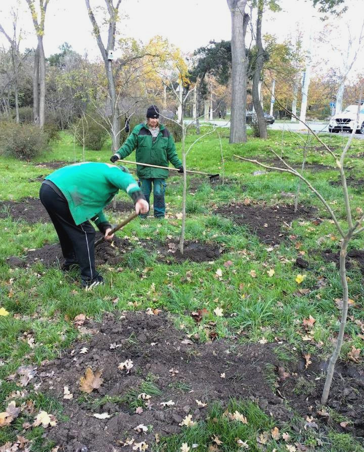 7868 image for slide