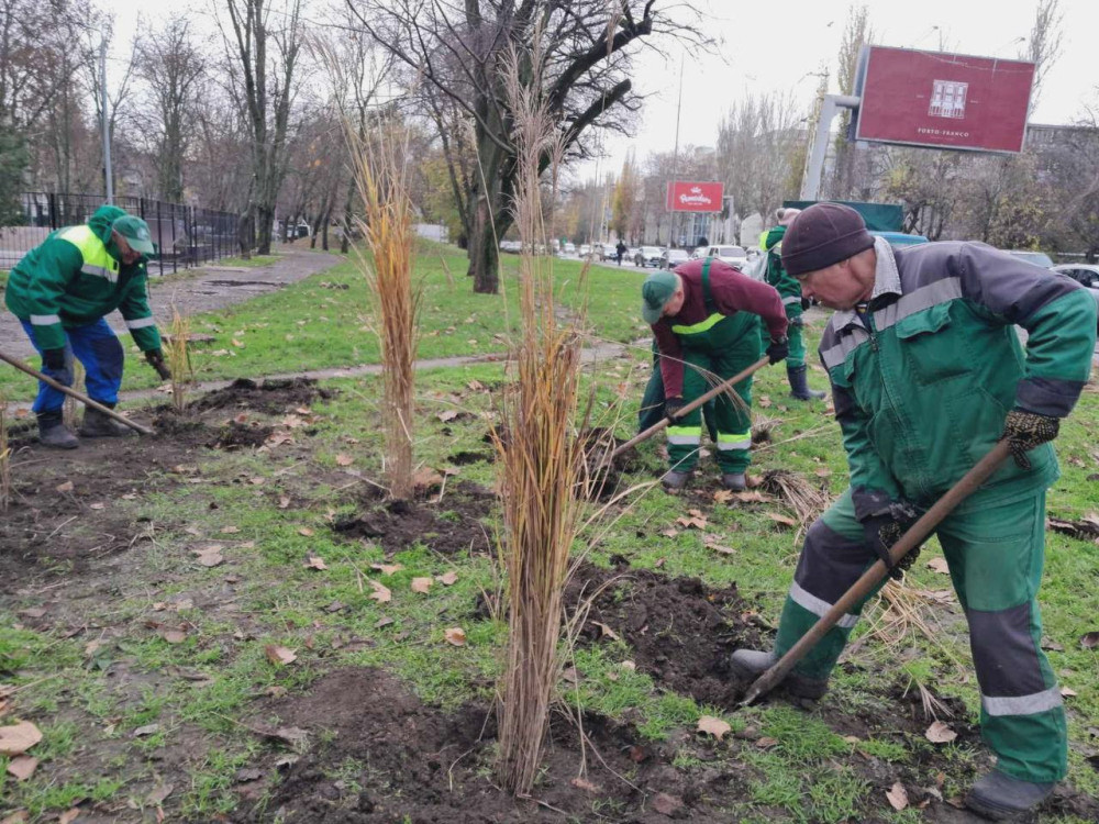 7909 image for slide