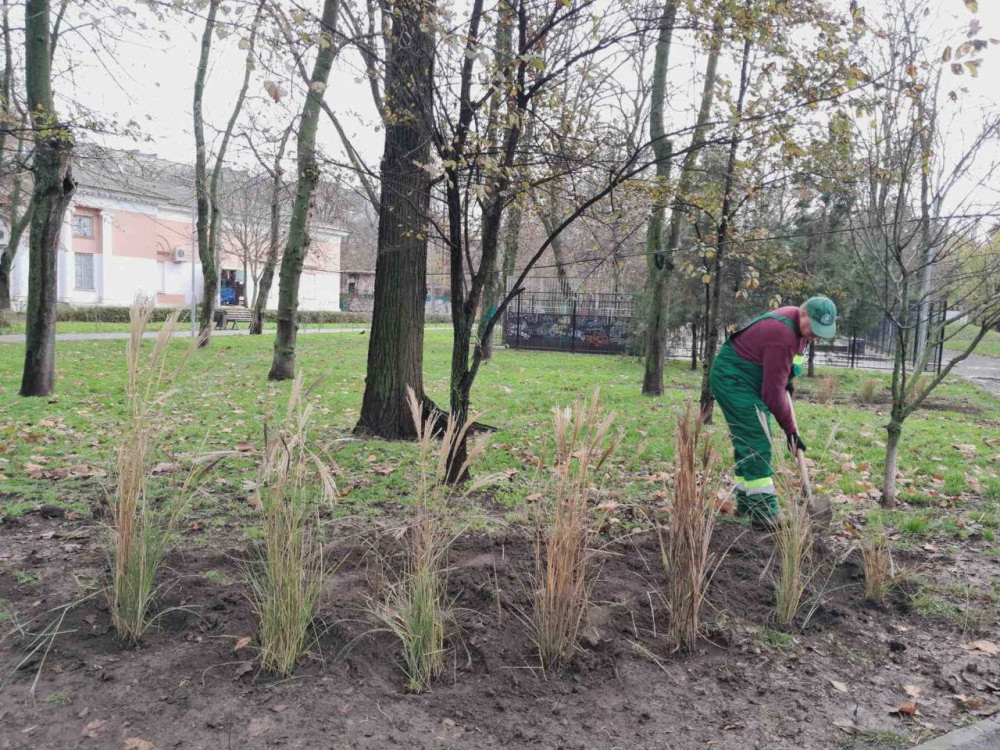 7910 image for slide