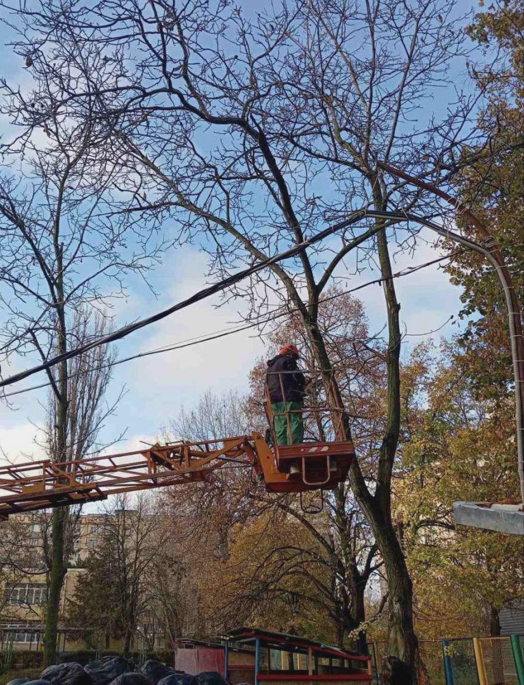 7927 image for slide