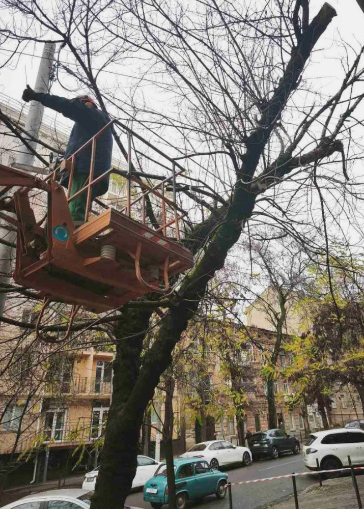 7930 image for slide