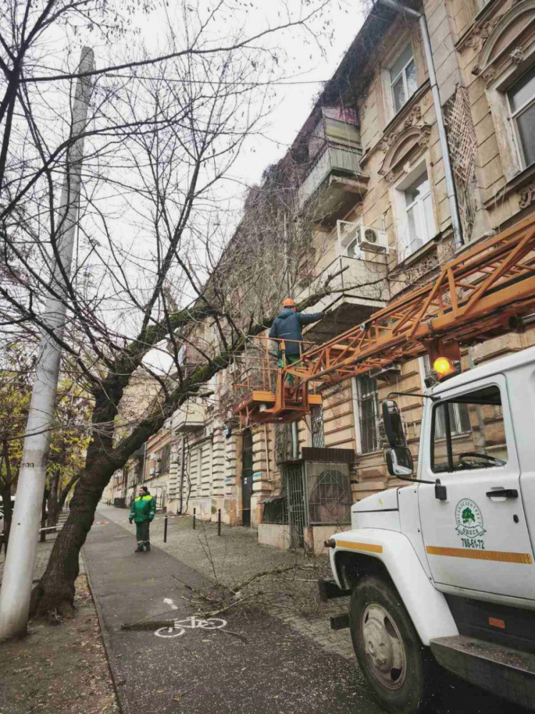 7931 image for slide