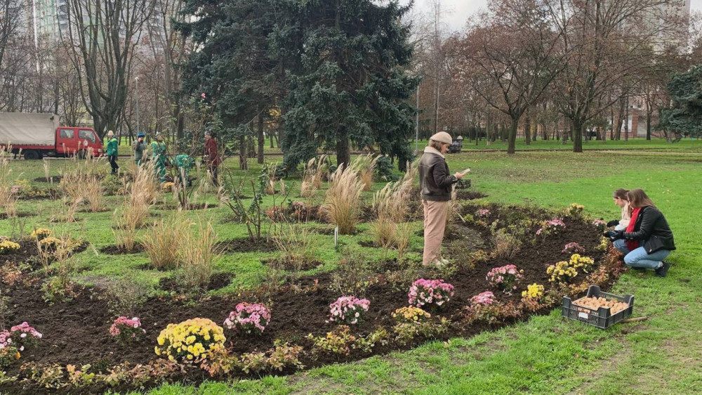 8033 image for slide