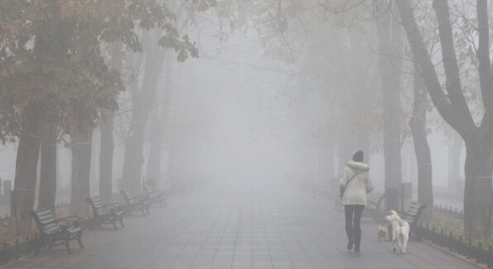 8055 image for slide