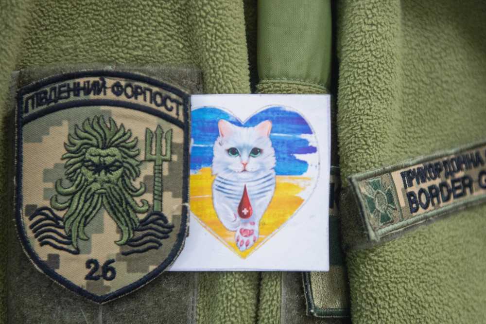 8067 image for slide