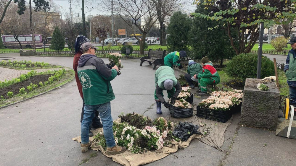 8182 image for slide