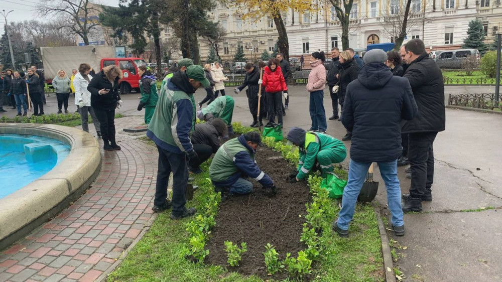 8185 image for slide