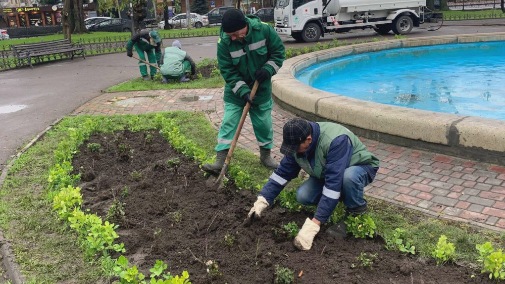 8187 image for slide